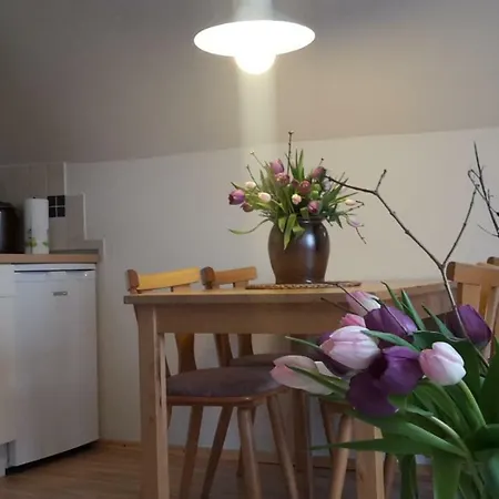 Apartamento Geissler Bad Schandau