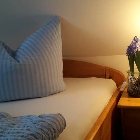 Geissler Apartament