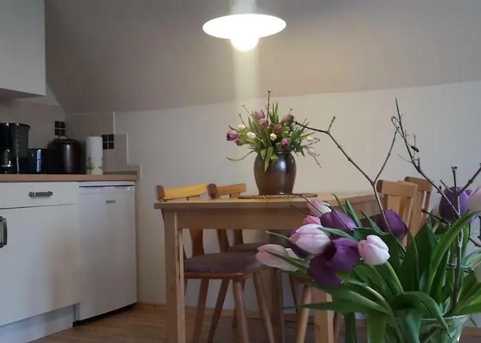 Appartement Geissler Bad Schandau